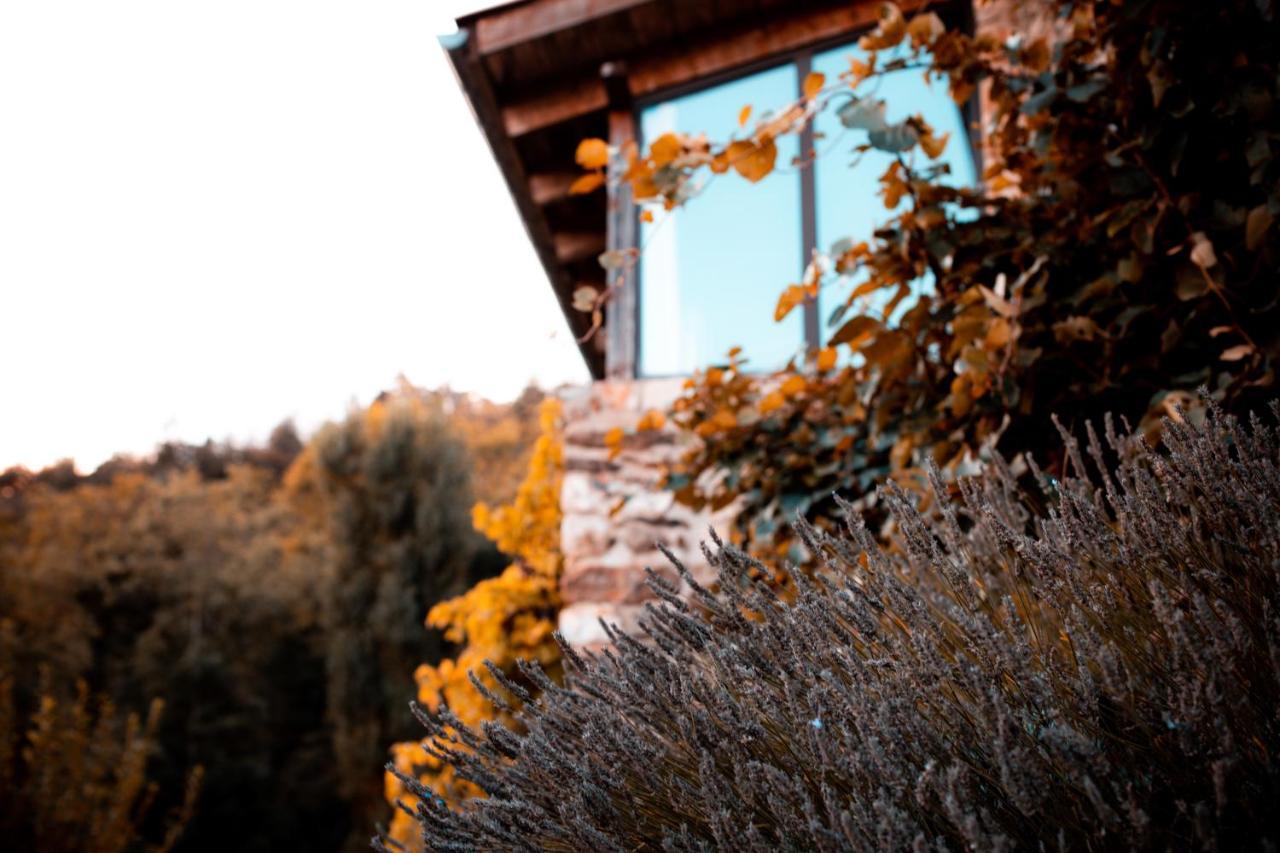 Maison D'Hotes Le Hameau De La Mure Saint-Laurent-du-Pape Exteriér fotografie