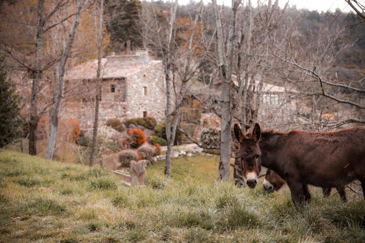 Maison D'Hotes Le Hameau De La Mure Saint-Laurent-du-Pape Exteriér fotografie