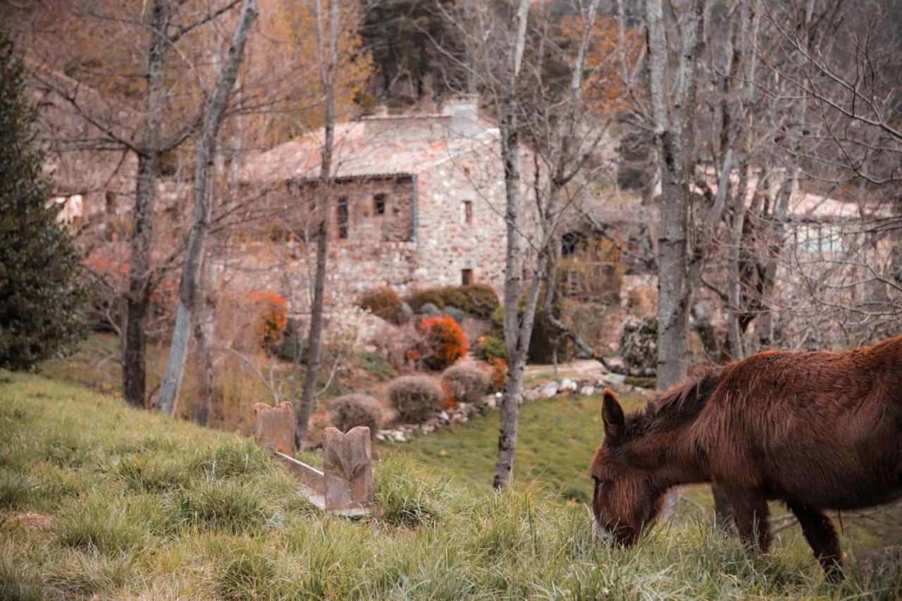 Maison D'Hotes Le Hameau De La Mure Saint-Laurent-du-Pape Exteriér fotografie