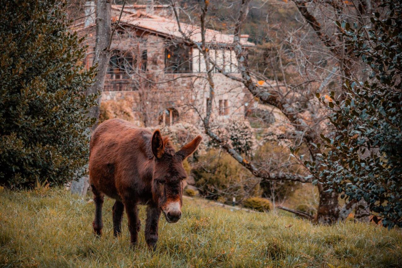 Maison D'Hotes Le Hameau De La Mure Saint-Laurent-du-Pape Exteriér fotografie